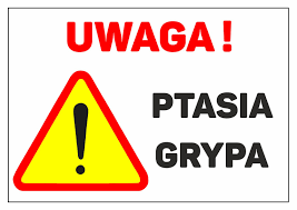 Ilustracja do informacji: Ptasia grypa